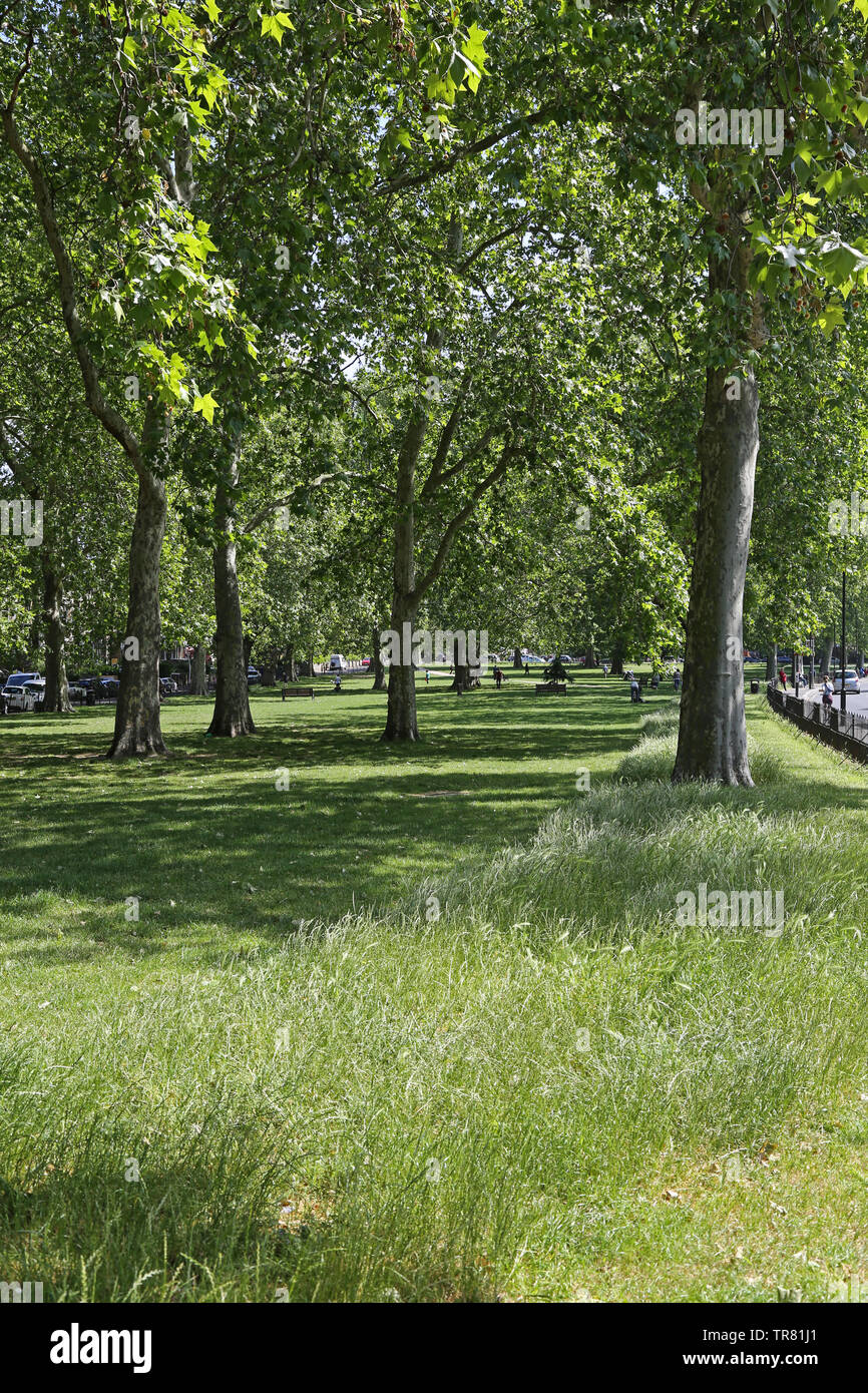 Goose Green im East Dulwich, London, UK. Ein beliebtes, geschlossenen Park zwischen Grove Vale, East Dulwich Straße und Adys Road SE 15. Stockfoto