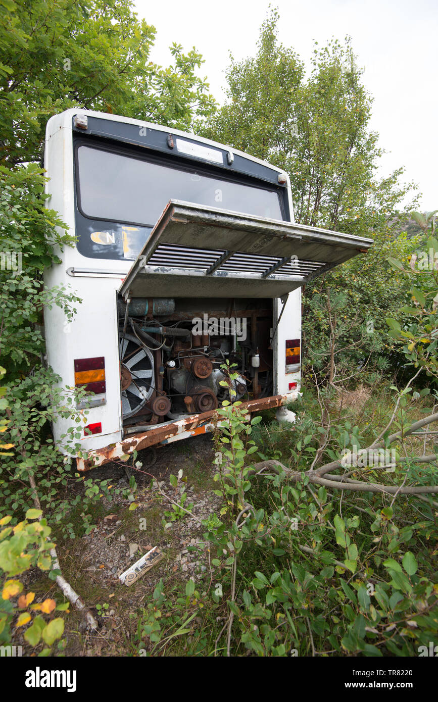 Einen Alten und Verlassenen bus stehend in den Büschen. Stockfoto