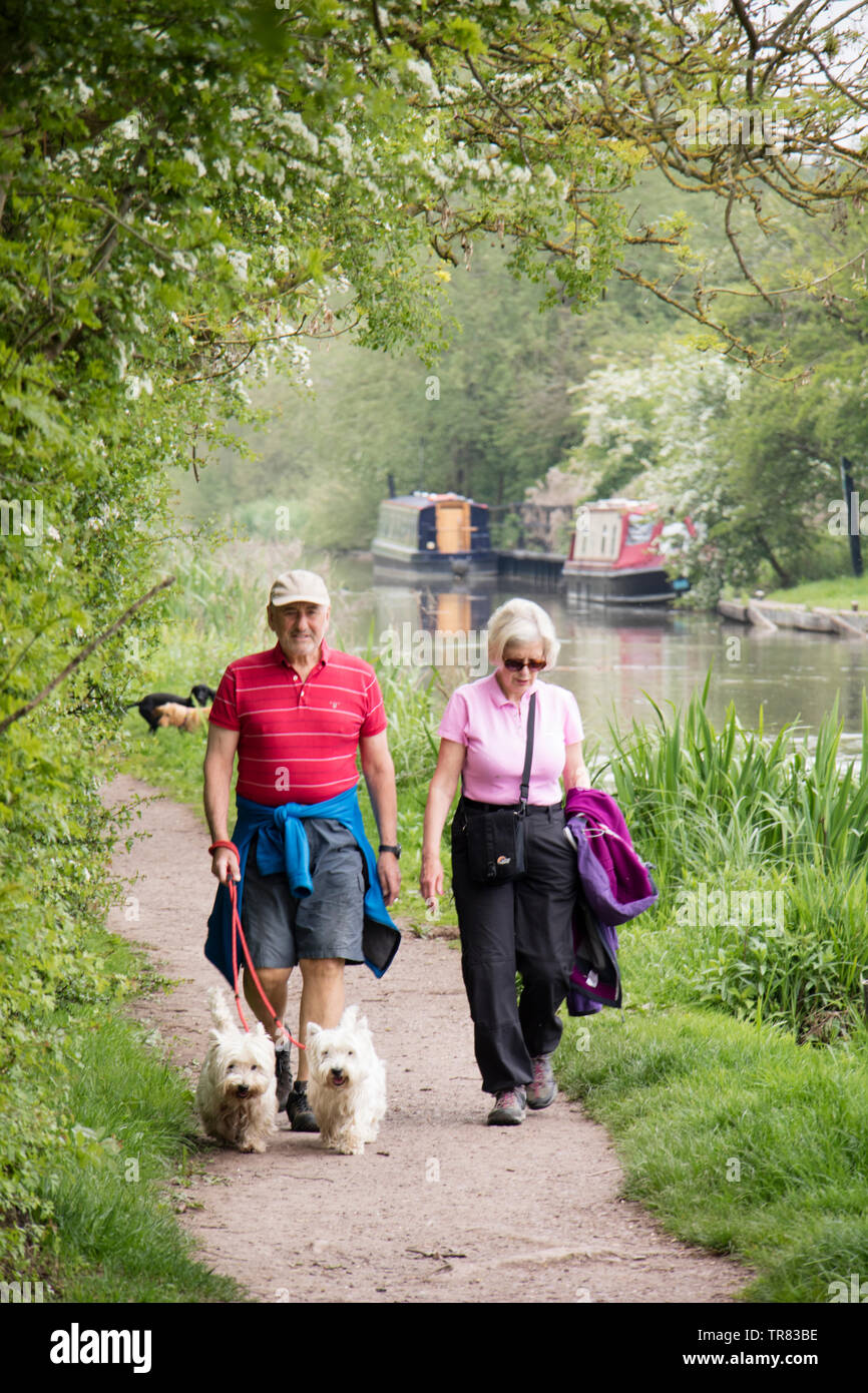 Ältere Paare gehen ihren Hund auf der Ashby Canal, England, Großbritannien Stockfoto