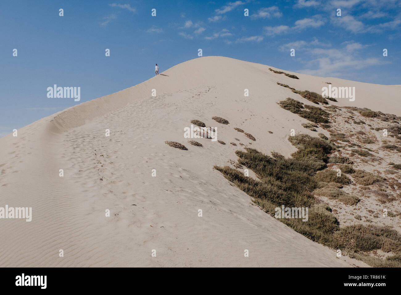 Baja California Stockfoto