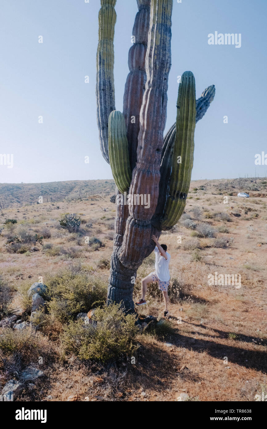 Baja California Stockfoto