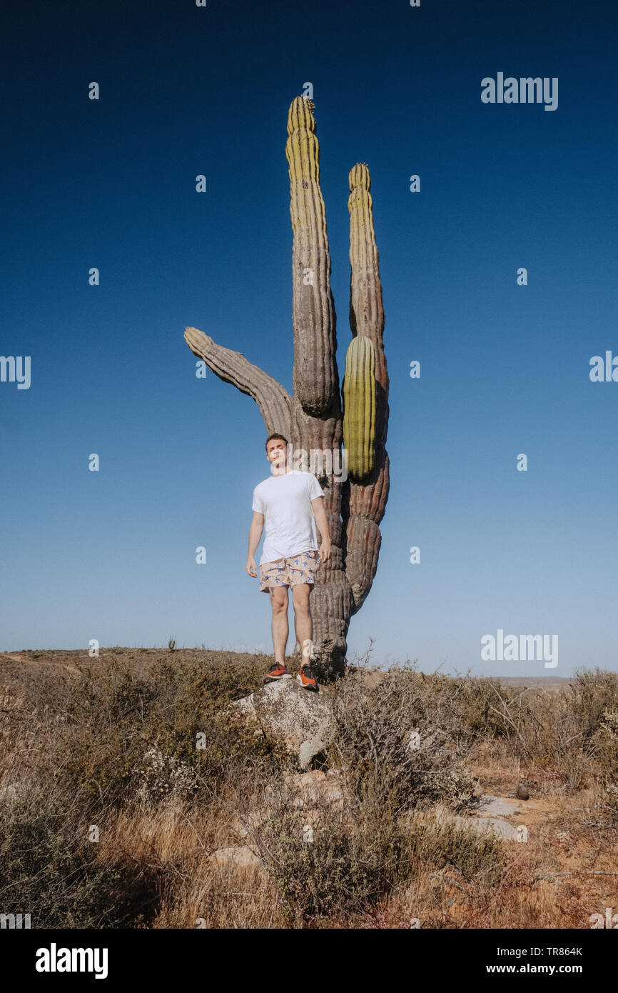 Baja California Stockfoto