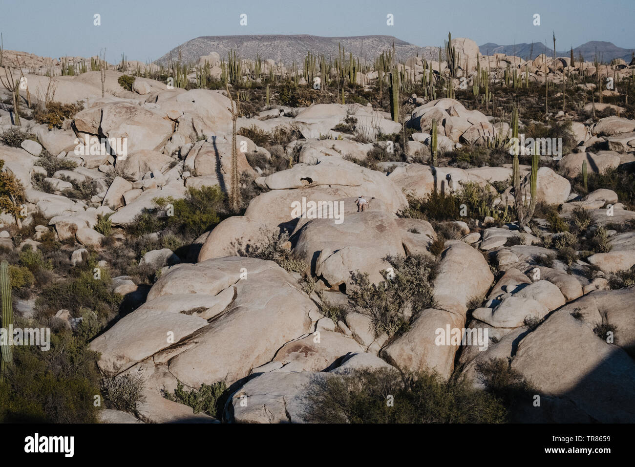 Baja California Stockfoto