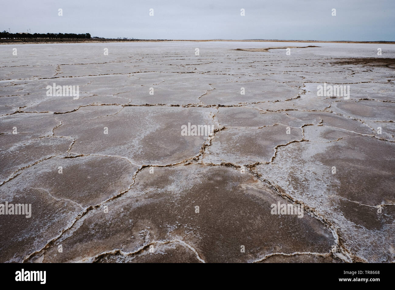 Baja California Stockfoto