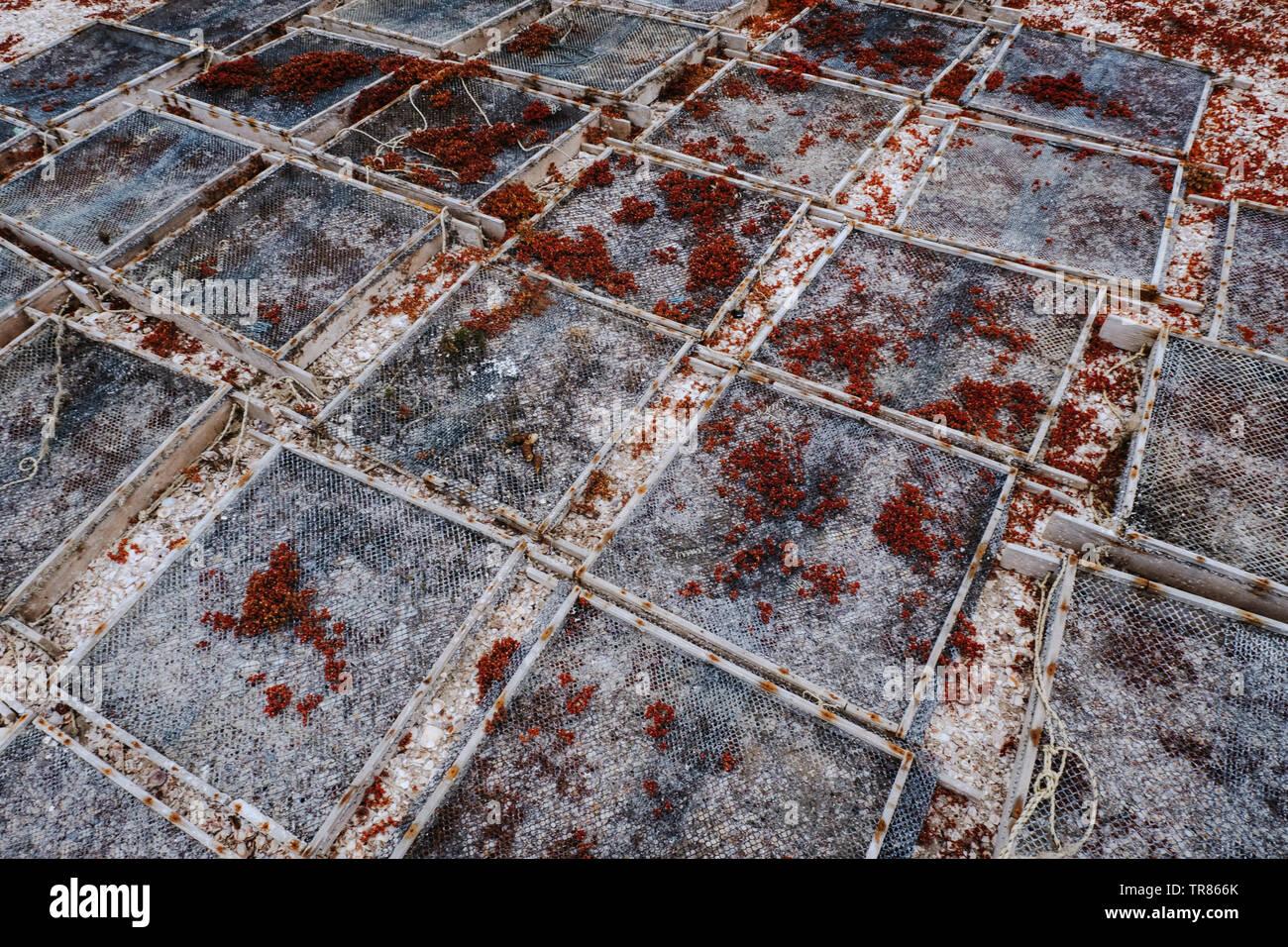 Baja California Stockfoto