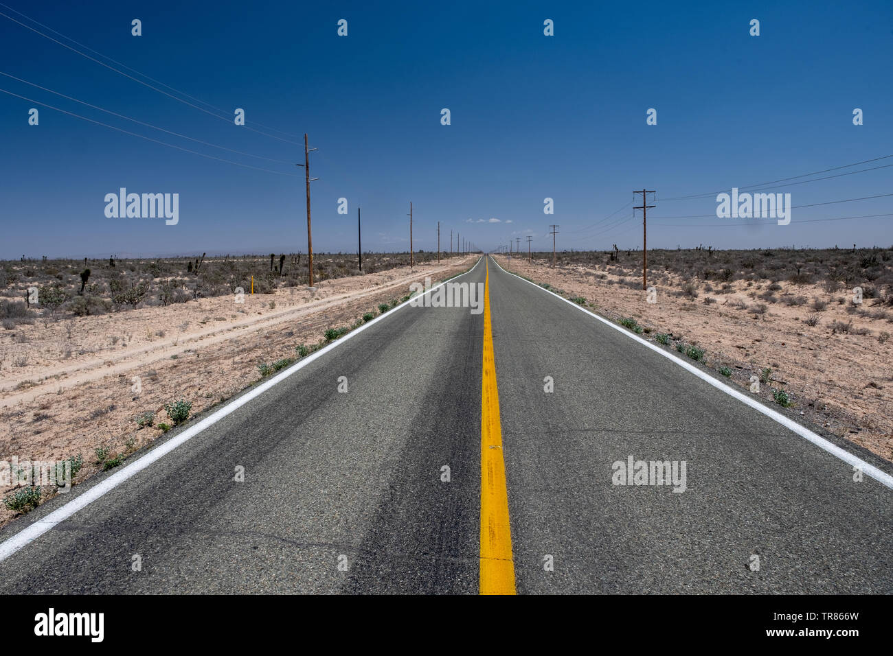 Baja California Stockfoto