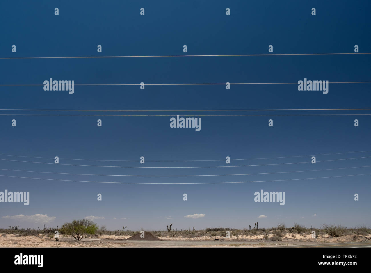 Baja California Stockfoto