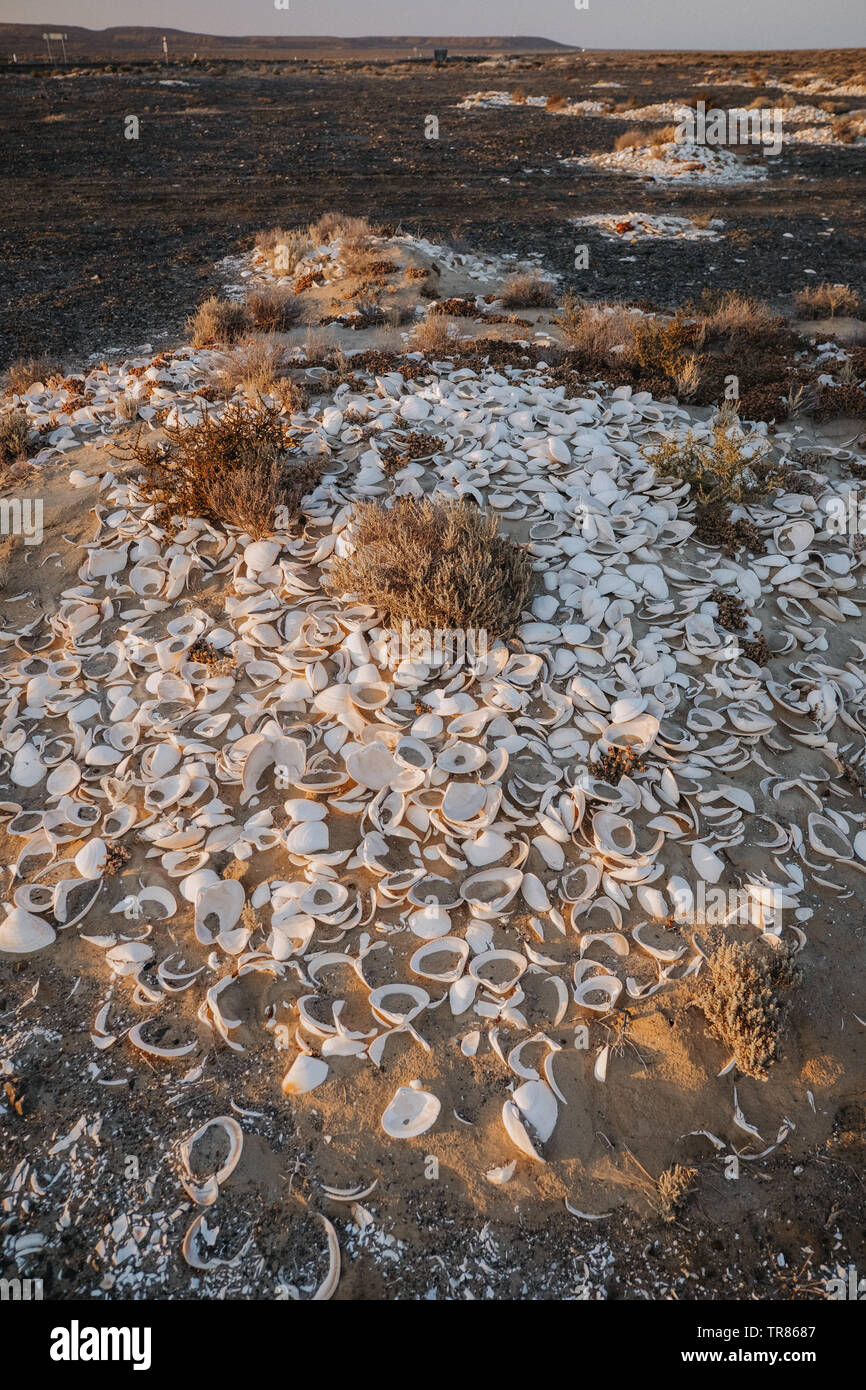 Baja California Stockfoto
