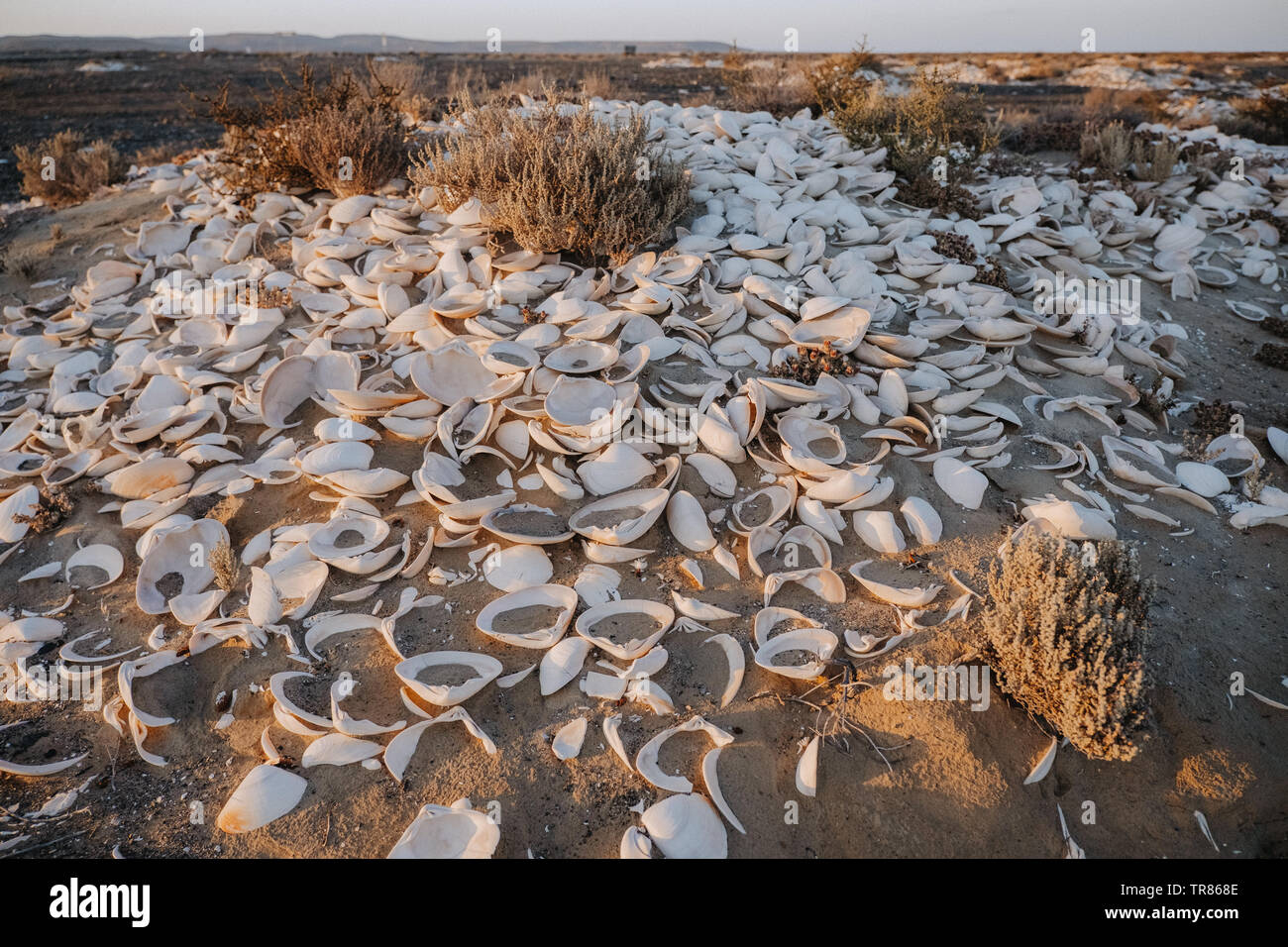Baja California Stockfoto
