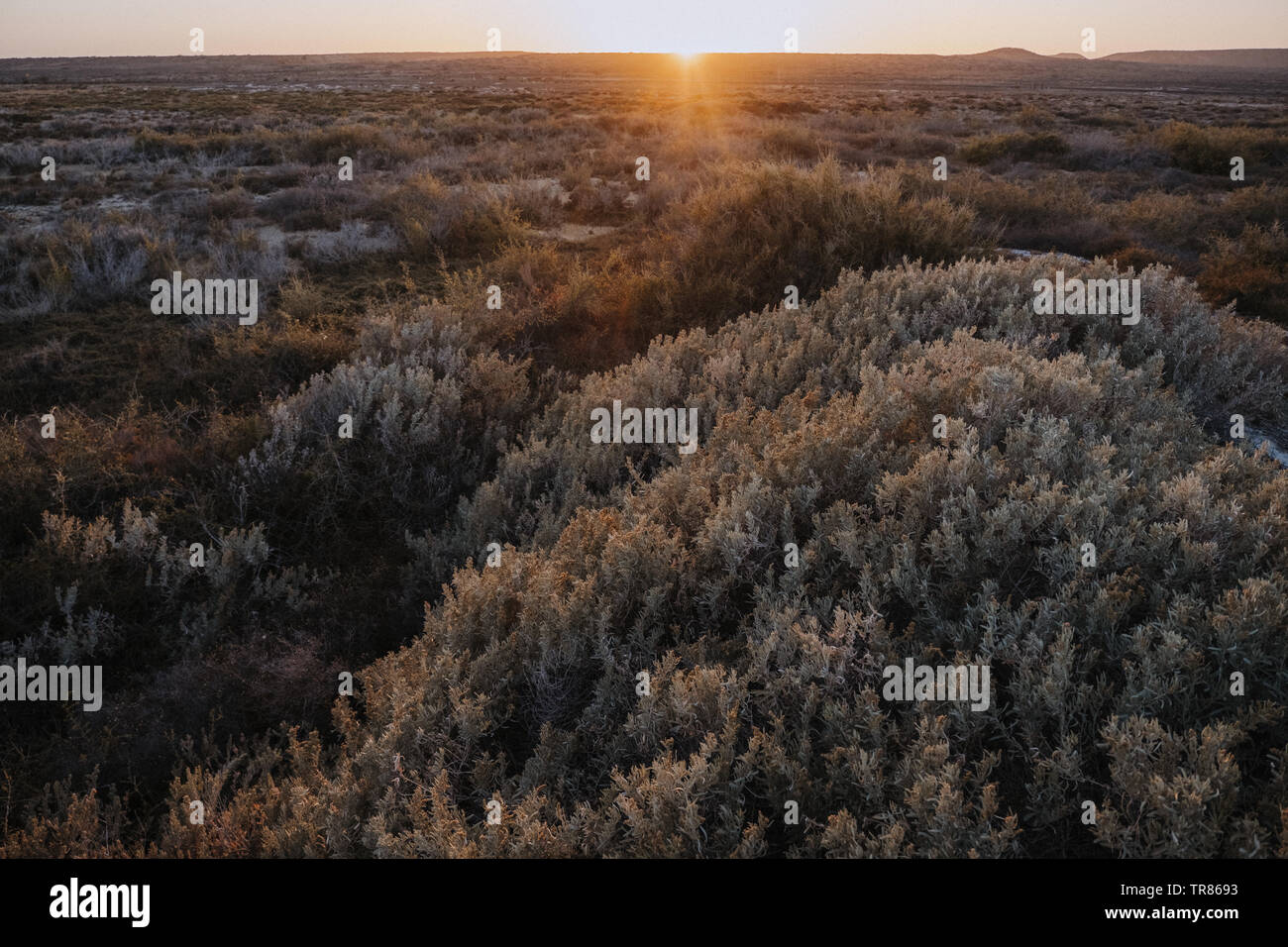 Baja California Stockfoto