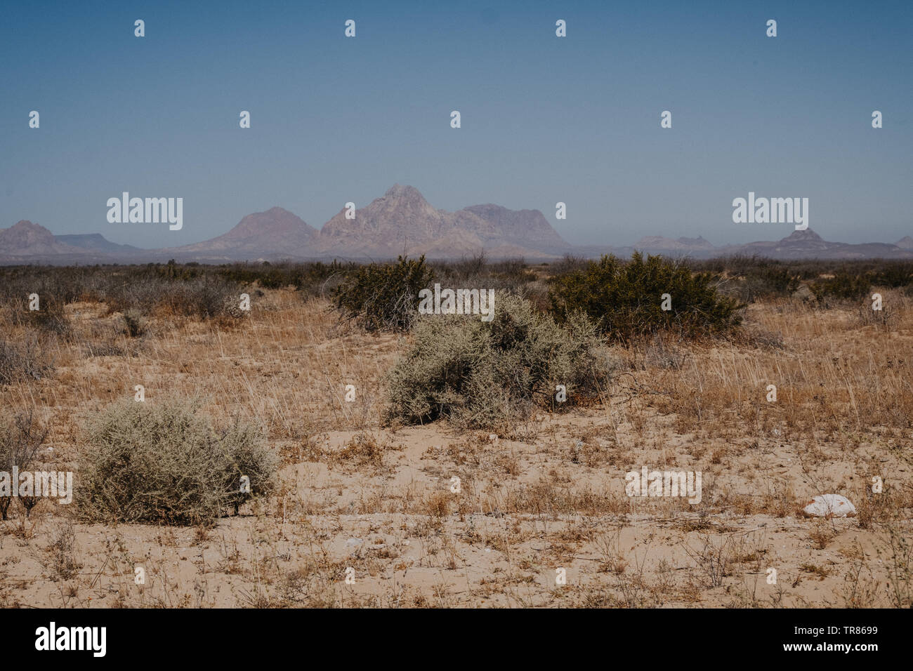 Baja California Stockfoto
