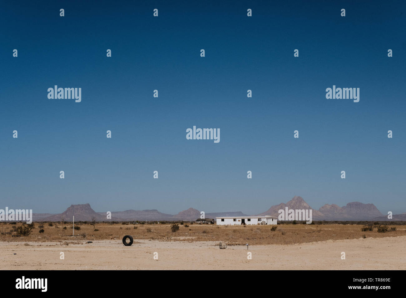 Baja California Stockfoto