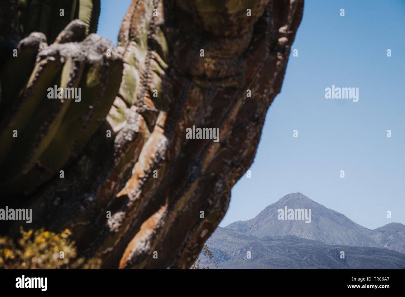 Baja California Stockfoto