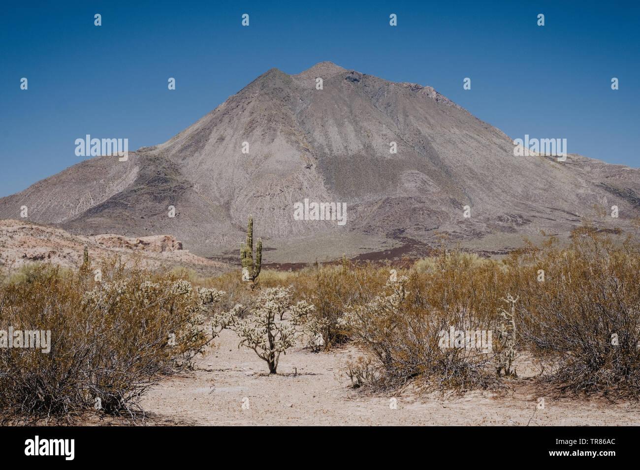 Baja California Stockfoto