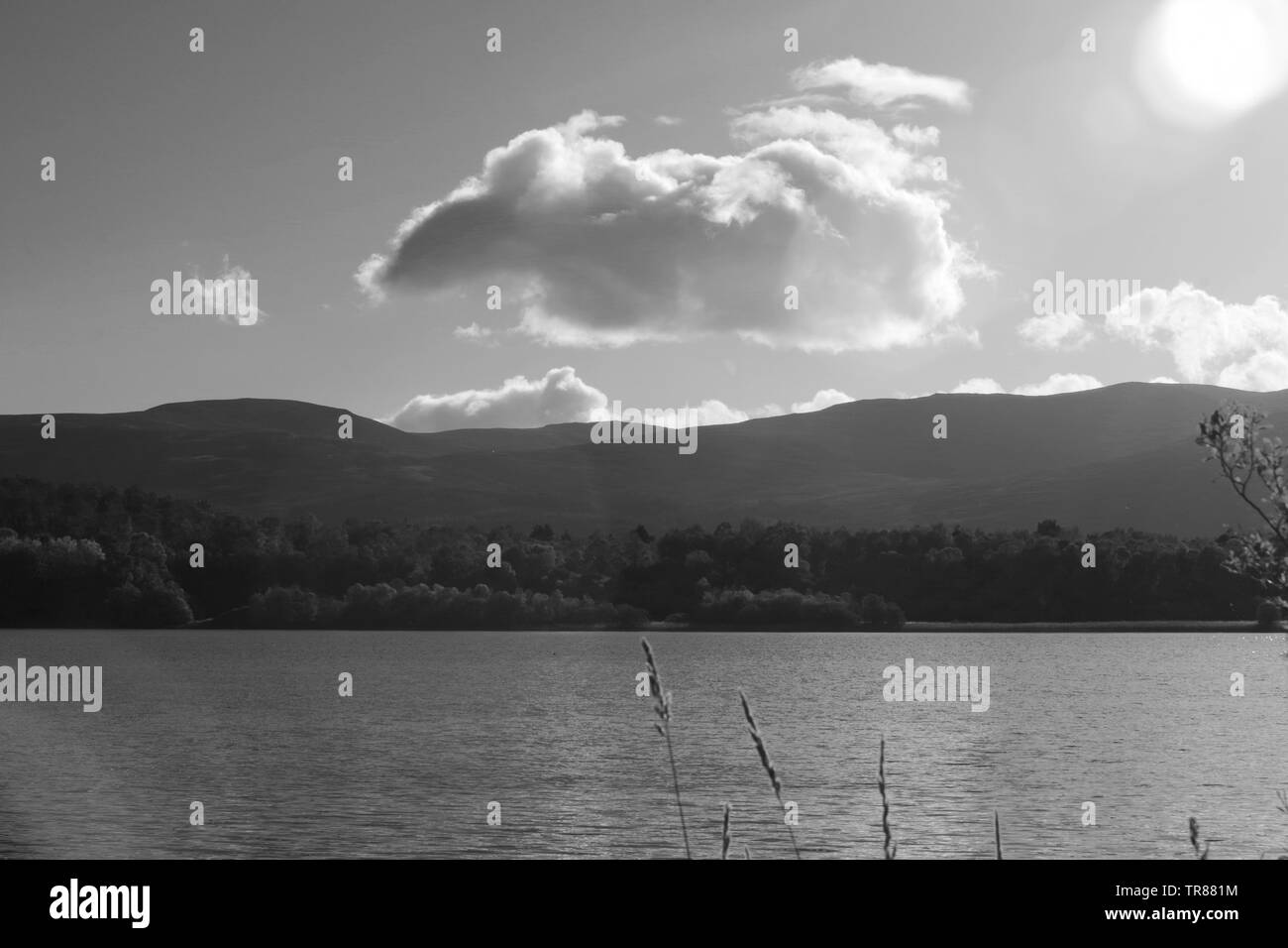 Schwarz und Weiß von cumulus mediocris Wolke über schottischen Hügel jenseits Loch Kinord an einem Herbsttag. Muir von Dinnet NNR, Cairngorms, Schottland, Großbritannien. Stockfoto