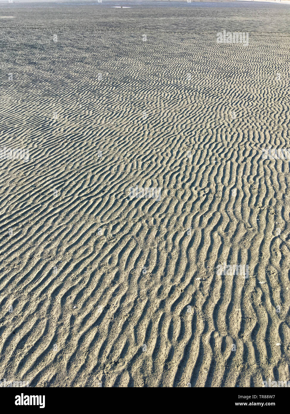 Spuren im Sand, die Bucht der Somme bei Ebbe, Le Crotois, Somme, Hauts-de-France, Frankreich Stockfoto