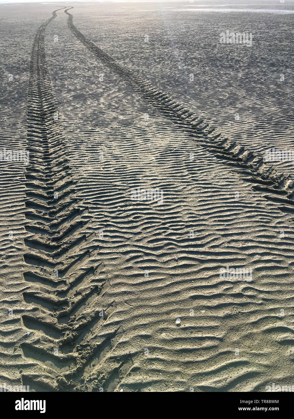 Spuren im Sand, die Bucht der Somme bei Ebbe, Le Crotois, Somme, Hauts-de-France, Frankreich Stockfoto