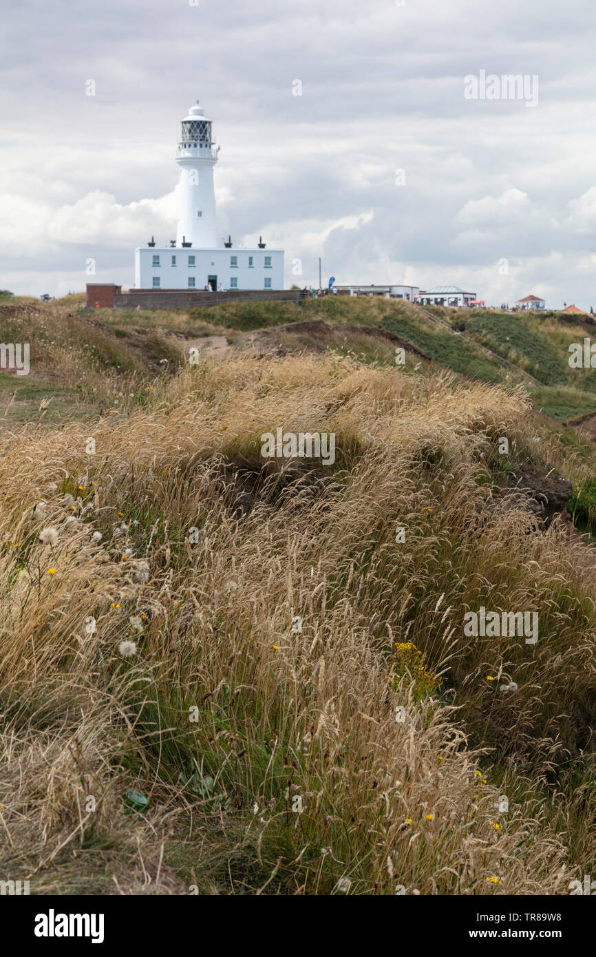 Flamborough Leuchtturm und Gräser, Flamborough Head, East Riding von Yorkshire, England, Großbritannien Stockfoto