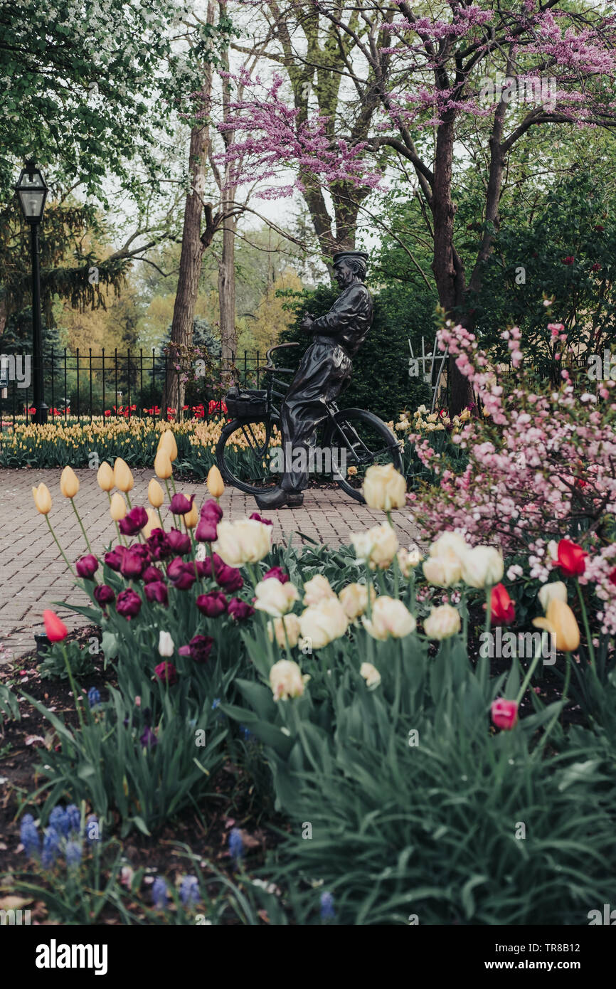 Pella, Iowa, USA - Mai 2, 2019: Skulptur eines niederländischen Mann mit seinem Fahrrad in Scholte Gärten. Vielzahl von Frühlingsblumen und vielfarbigen Tulpen. Stockfoto