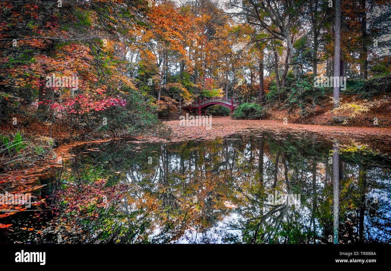 Crim Dell Brücke auf dem College von William und Mary's Campus in Williamsburg, VA USA mit Teich und Reflexionen. Stockfoto