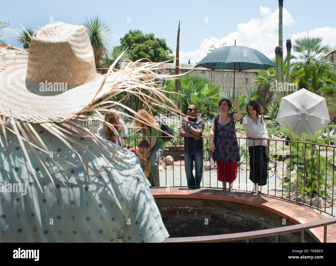 Eine Führung im Etno - botanische Gärten. Santo Domingo, Oaxaca City, Oaxaca, Mexiko Stockfoto