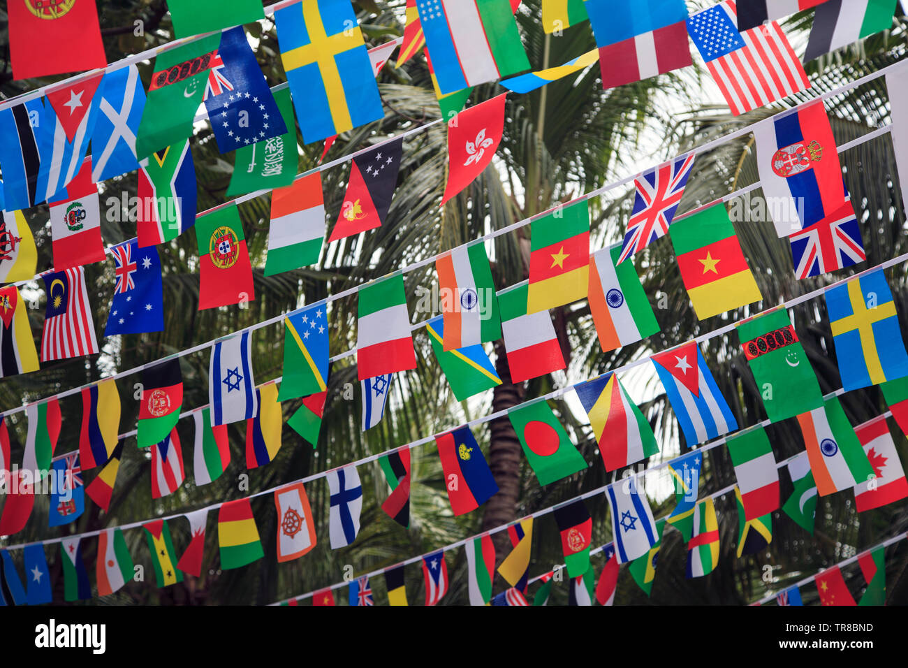 Welt Fahnen, Fähnchen verschiedener Länder, die kleinen Flaggen verschiedener Länder zwischen Palmen gestreckt Stockfoto