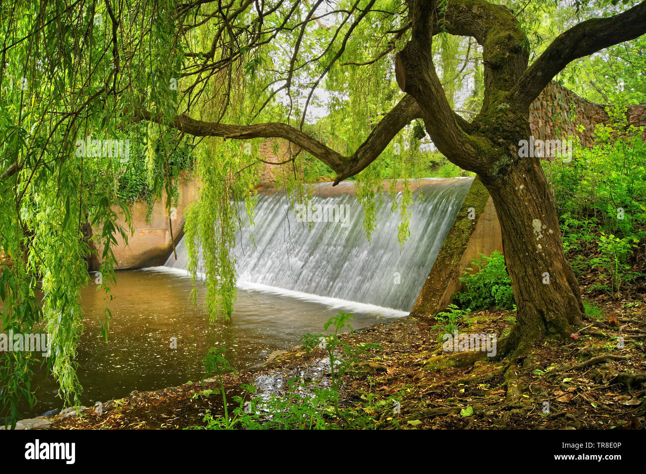 UK, Devon, Sidmouth, die byes, Fluss Sid Wehr Stockfoto