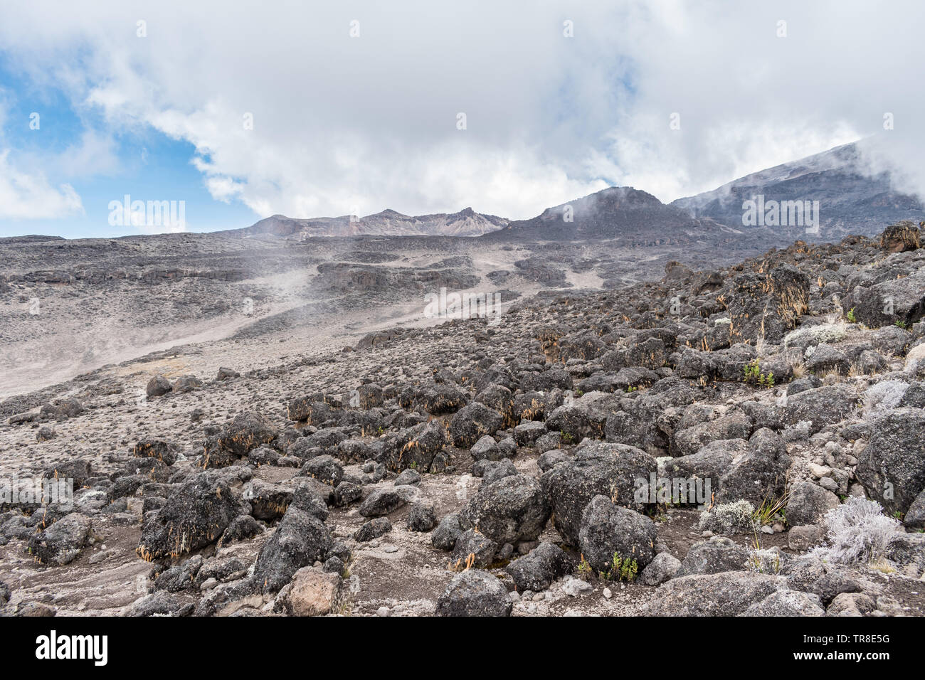 Hunderte von magmatischen vulkanischen Felsen über die alpine Desert Zone Landschaft des Kilimanjaro, Tansania, in der Nähe vom Machame Route verstreut. Stockfoto