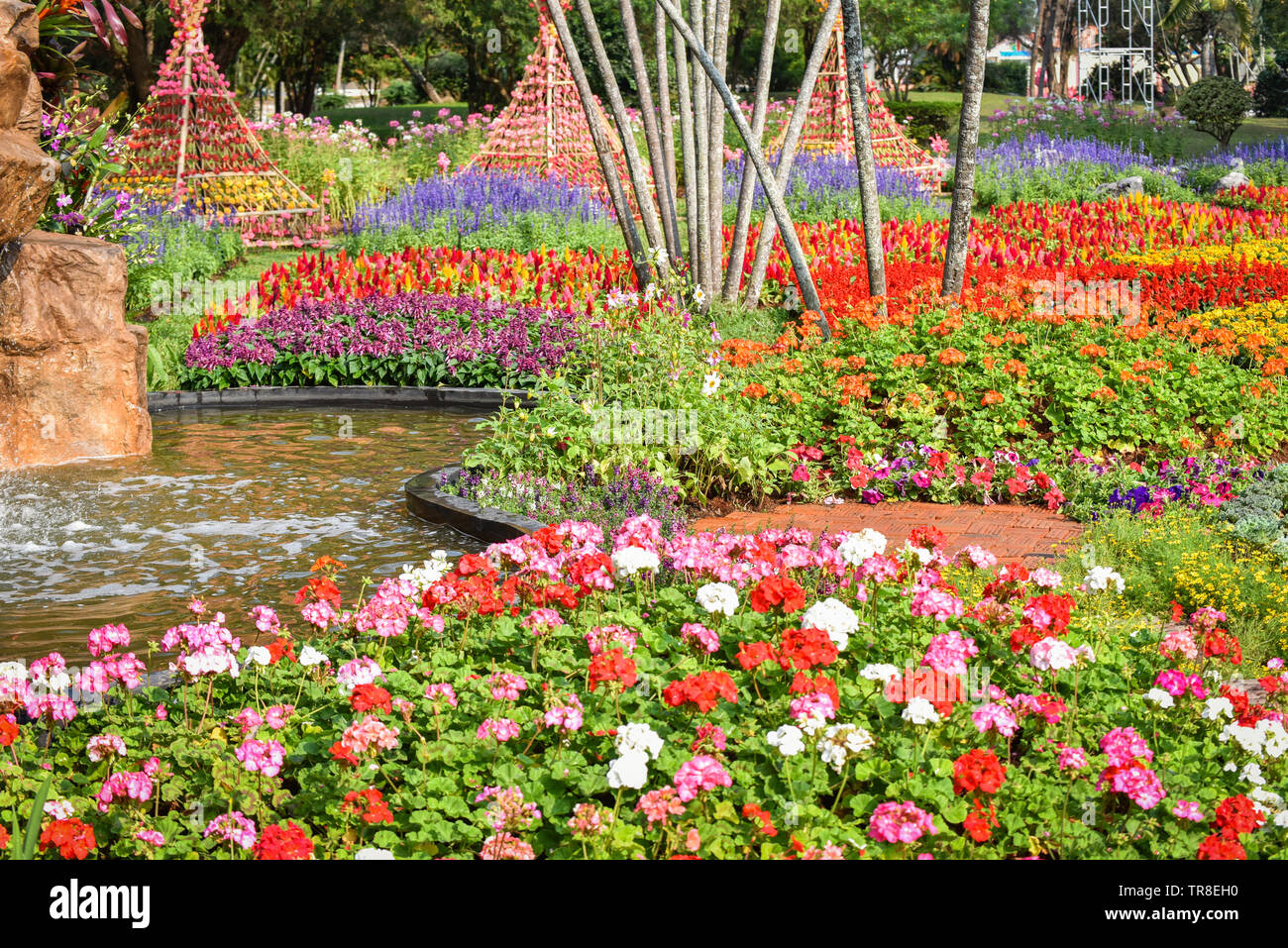 Bunte Garten Frühling Blumen Multi Color mit verschiedenen Blumen und Wasser Teich Natur Hintergrund Stockfoto
