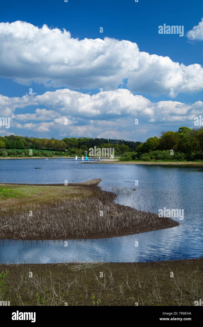 UK, Derbyshire, River Amber, der aus dem Nordwesten in das Ogston Reservoir mündet. Stockfoto