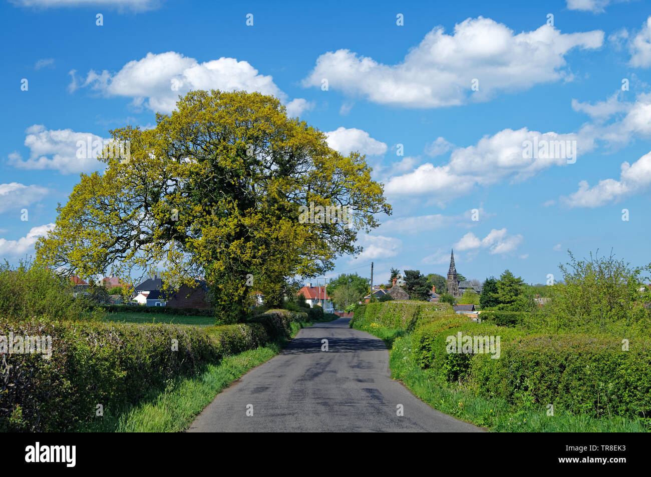 Großbritannien, Derbyshire, Handley Lane zu Clay Cross Stockfoto