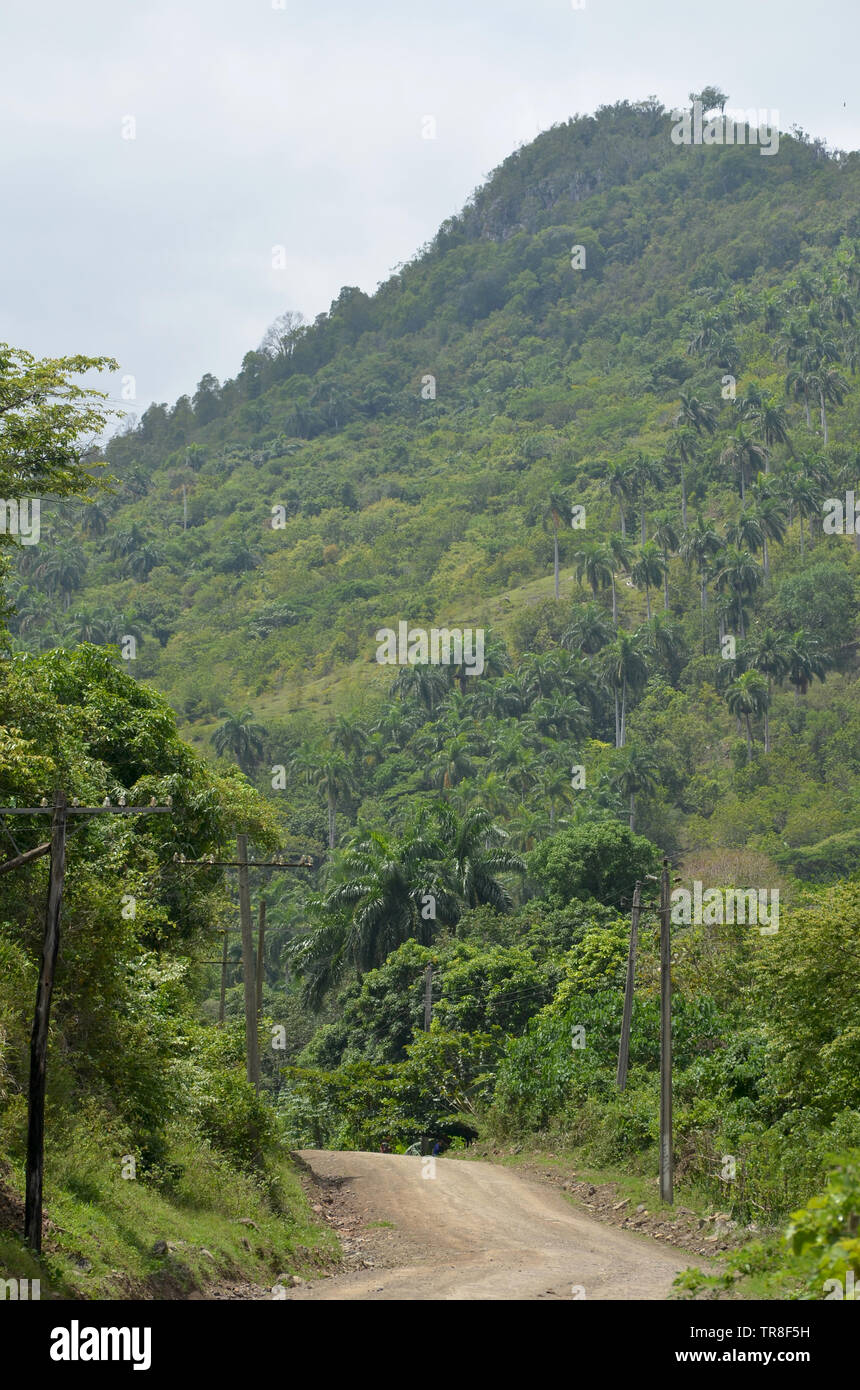 Felder und die bewaldeten Hänge in Guisa Gemeinde (Provinz Granma, Kuba), in der Nähe des Pico de la Bayamesa Nationalpark, südlichen Kuba Stockfoto