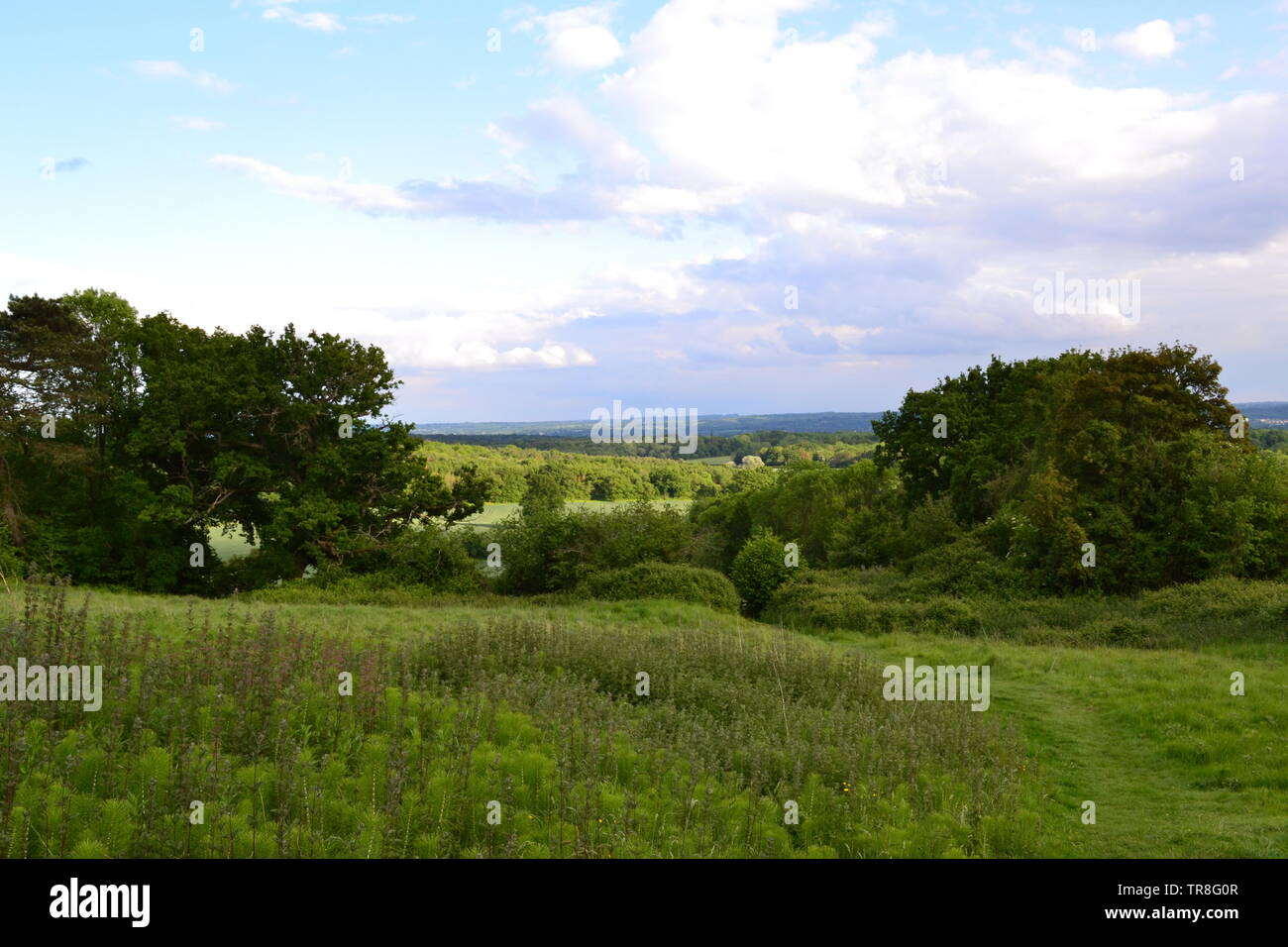 Landschaft in der Nähe von Kent Ightham Mote, Tonbridge und Shipbourne Ende Mai auf einer teilweise sonnigen Tag. Wald und Ackerland sichtbar Stockfoto