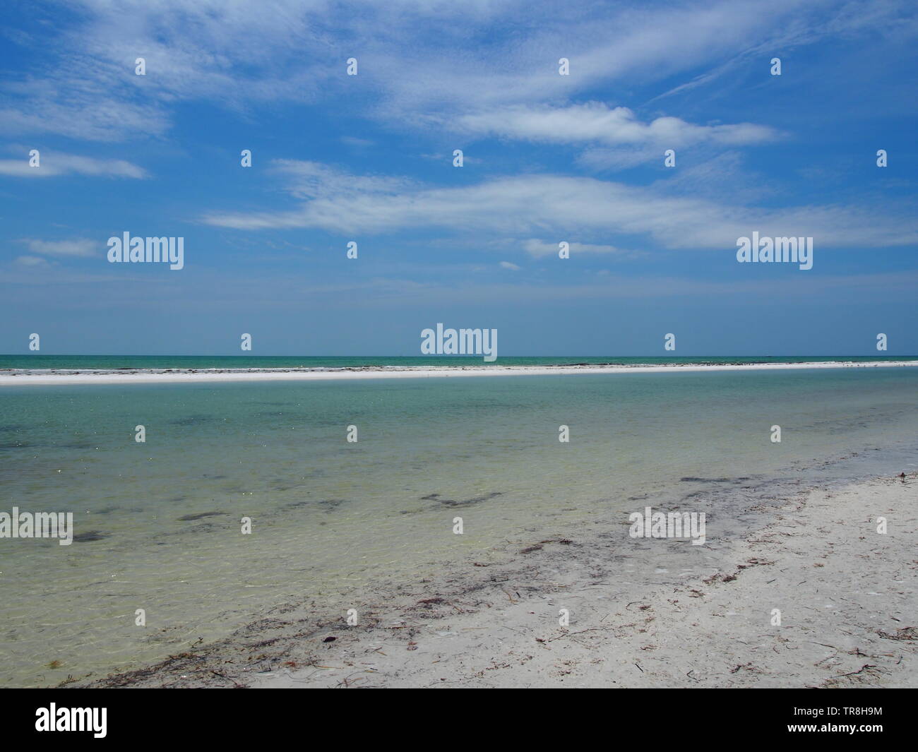 Shoreline am Anclote Schlüssel, Tarpon Springs, Florida, USA, 9. Mai 2019, © katharine Andriotis Stockfoto