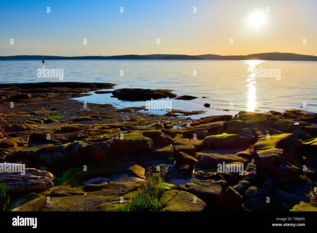 Einen schönen Sonnenaufgang auf einem felsigen Strand auf Vancouver Island in British Columbia Kanada. Stockfoto