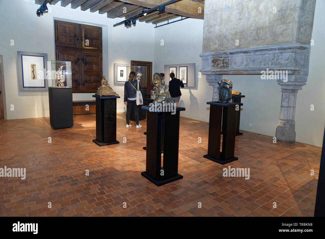 Tours, Frankreich. 24. Mai 2019. Werke von Georges Jenclos an Ausstellung Re-naissance (s) Der Capazza Galerie: Veronique Phitoussi/Alamy Stock Foto Stockfoto