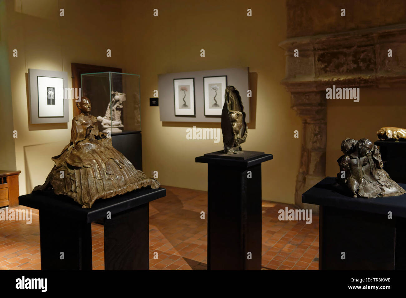 Tours, Frankreich. 24. Mai 2019. Werke von Georges Jenclos an Ausstellung Re-naissance (s) Der Capazza Galerie: Veronique Phitoussi/Alamy Stock Foto Stockfoto