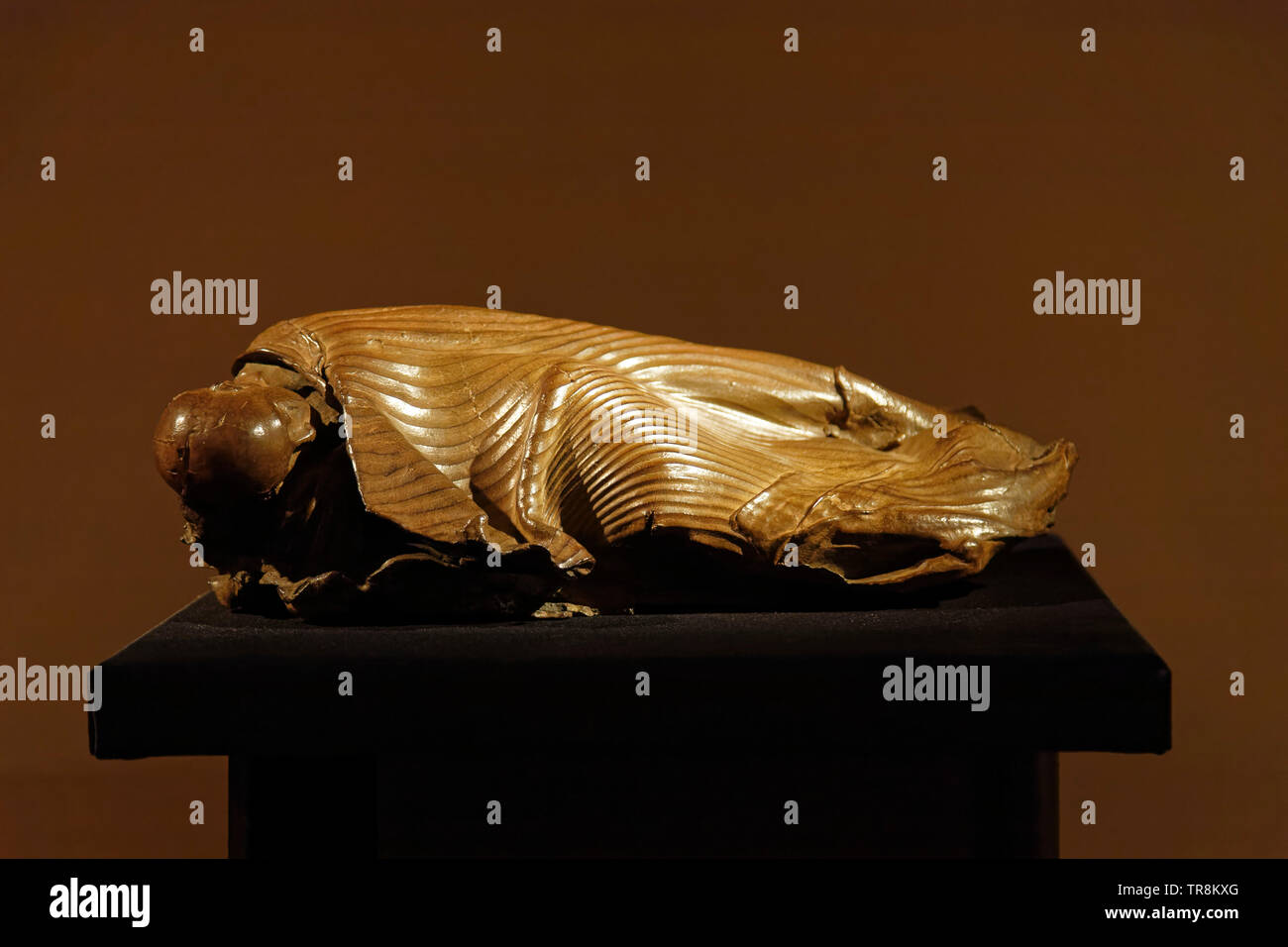 Tours, Frankreich. 24. Mai 2019. Werke von Georges Jenclos an Ausstellung Re-naissance (s) Der Capazza Galerie: Veronique Phitoussi/Alamy Stock Foto Stockfoto