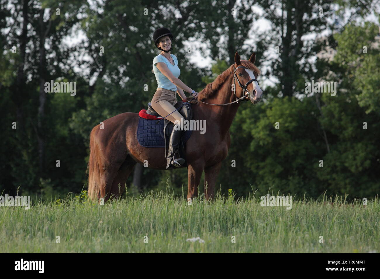 Junge weibliche Reiter reiten auf Sattel arabische Pferd Stockfoto