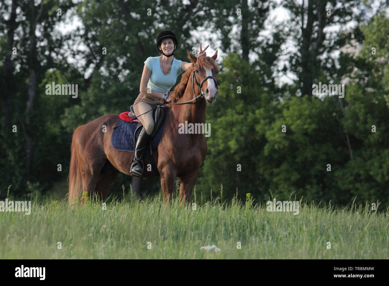 Junge weibliche Reiter reiten auf Sattel arabische Pferd Stockfoto
