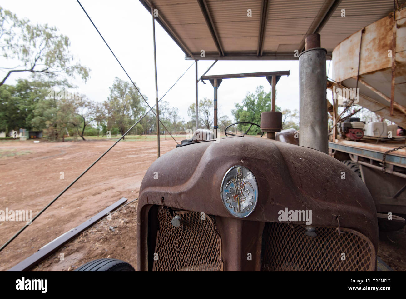 Die Vorderansicht und Schutz (Abzeichen) eines Fordson Major Diesel Schlepper, gelegentlich noch auf ein Grundstück im Nordwesten von New South Wales, Australien verwendet Stockfoto