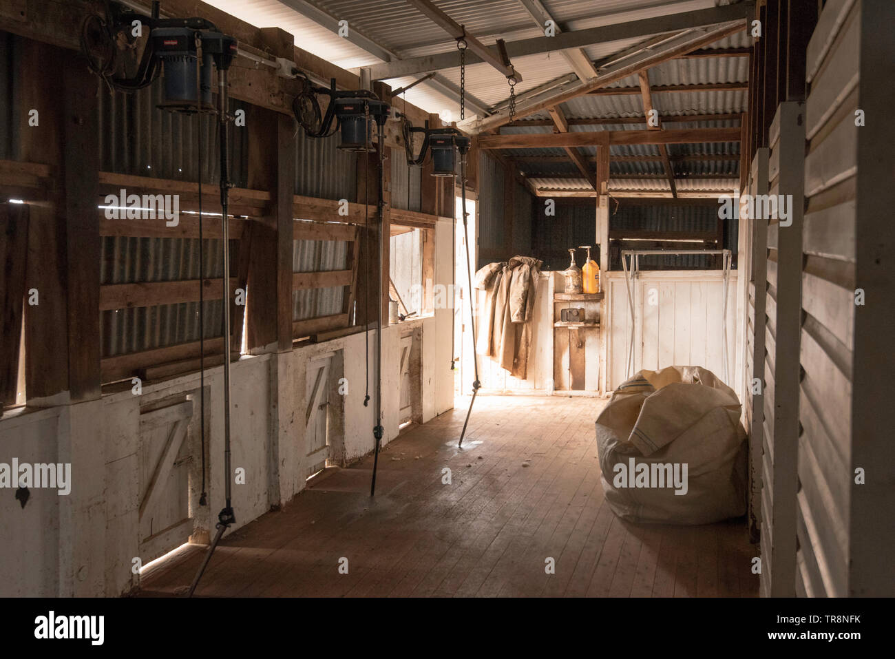 Licht strömt durch eine offene Tür in das Innere eines leeren Scheren auf  einer Schaffarm im Nordwesten von New South Wales, Australien, vergossen  Stockfotografie - Alamy