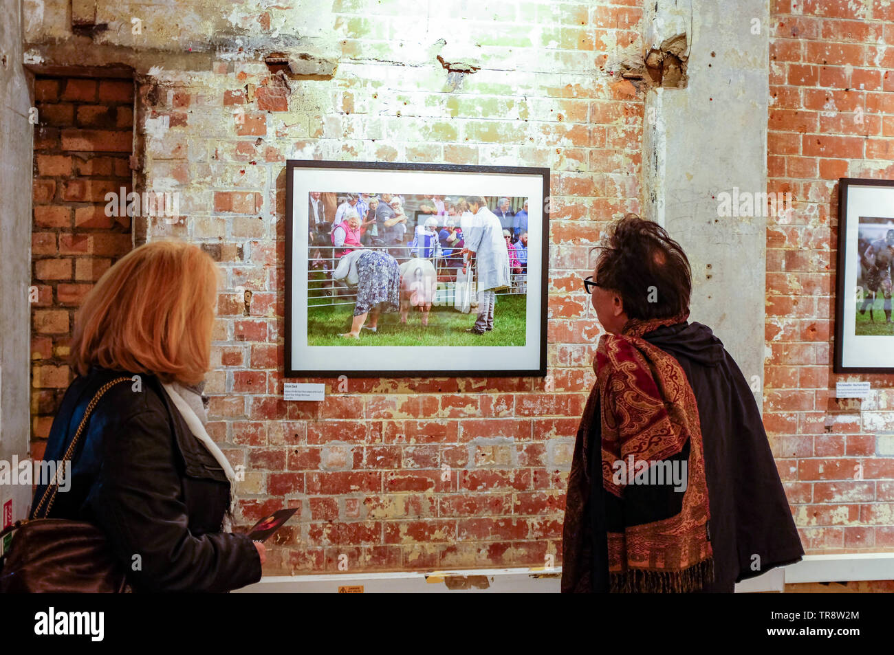 Fotos auf dem Display an der BPPA Ausstellung in der Die Barge House Gallery in der OXO-Gebäude an der South Bank London, Großbritannien Stockfoto
