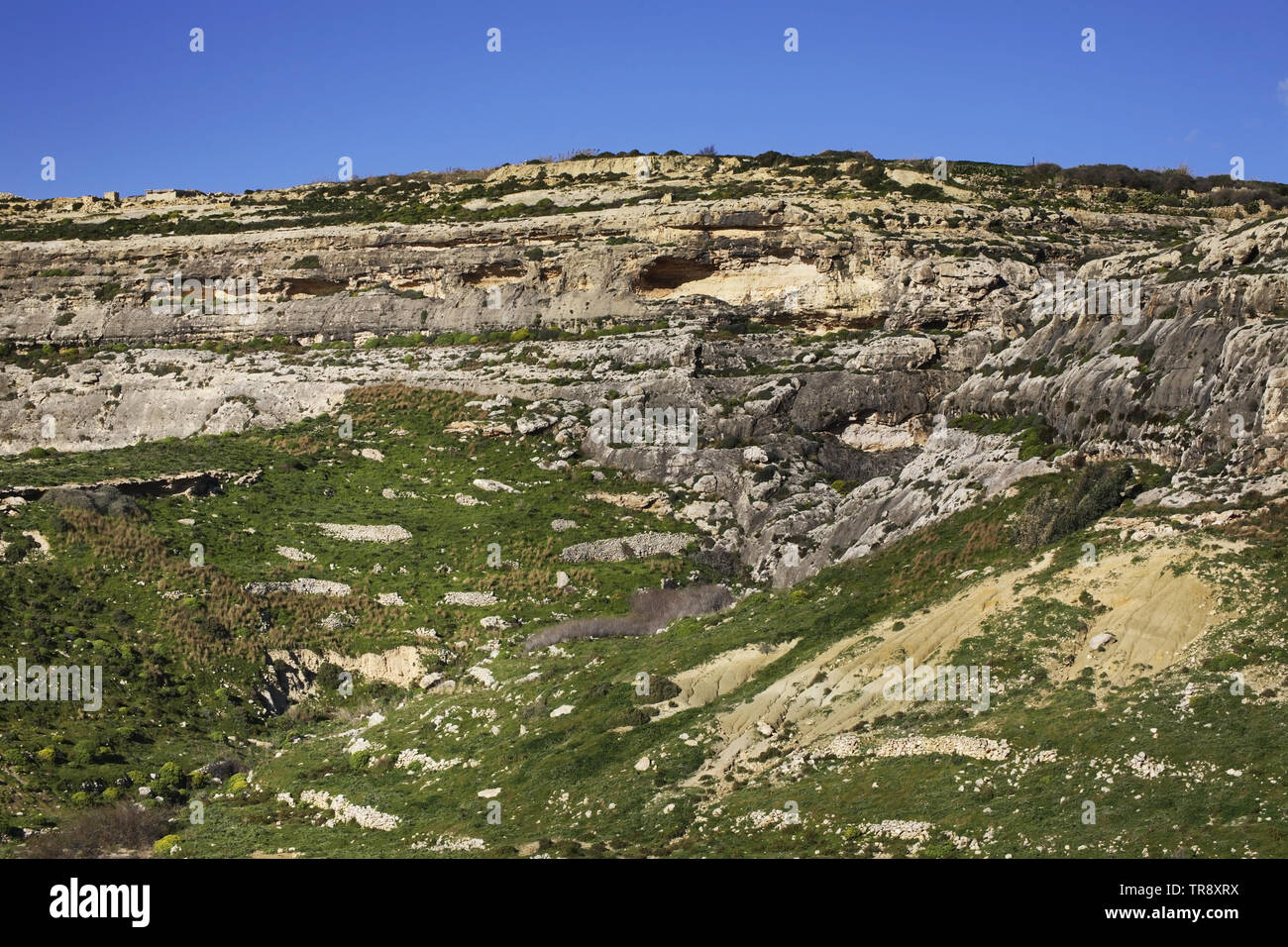 Hill in der Nähe von Dwejra Bay. Insel Gozo. Die Dwejra Bay. Malta Stockfoto