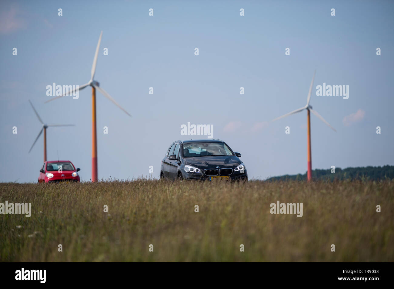 Radweg und Straße auf dem Deich in der Nähe von Almere. Stockfoto