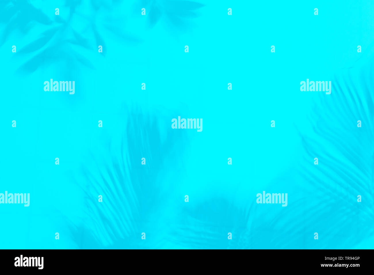 Silhouette von Zweigen und Palmblättern auf Blau soft Hintergrund. Unscharfer Schatten von Palm Blätter auf dem Wasser. Abstrakte Malerei Tapete. Soft Focus Stockfoto