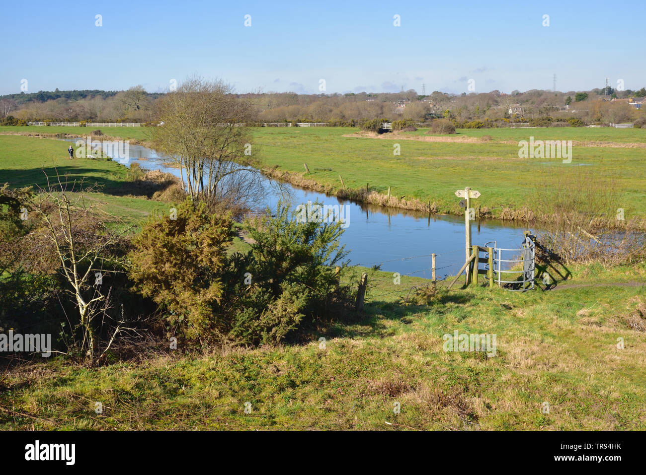 Des Flusses Piddle oder Trent, aus dem Norden Wände in Wareham gesehen Stockfoto