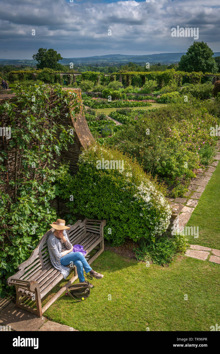 Eine Dame eine Auszeit nimmt und setzt sich die schöne Umgebung und die Ruhe des Hauses und Hestercombe Gardens in der Nähe von Taunton in Somerset zu bewundern. Stockfoto