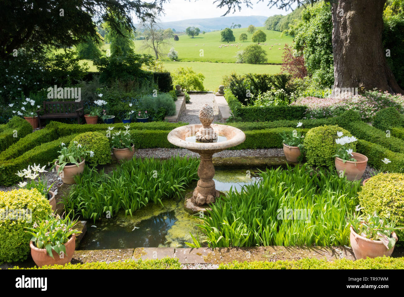 Eine geliehene Aussicht von den oberen Garten von Dalmain Villa, in der Nähe von Penrith, Cumbria, mit Wasserspiel und box Hecken Stockfoto