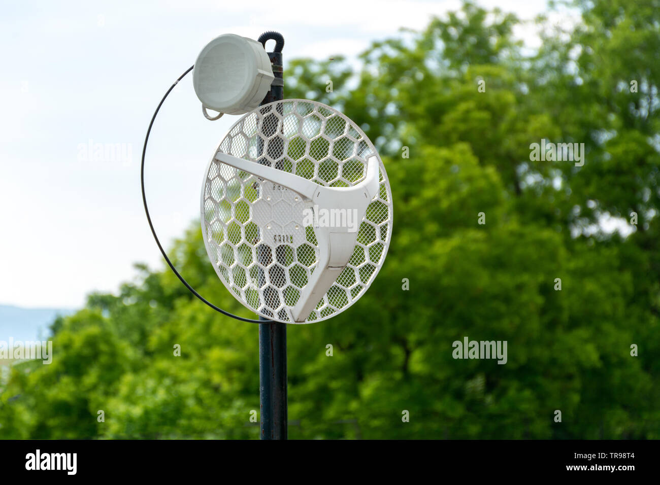 Internet Outdoor Wireless Antenne Metallstange auf dem Dach und grünen Bäumen und Himmel im Hintergrund. Moderne Technologie und Internet Konzept. Nahaufnahme Stockfoto